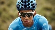 Team Novo Nordisk Development Tea
